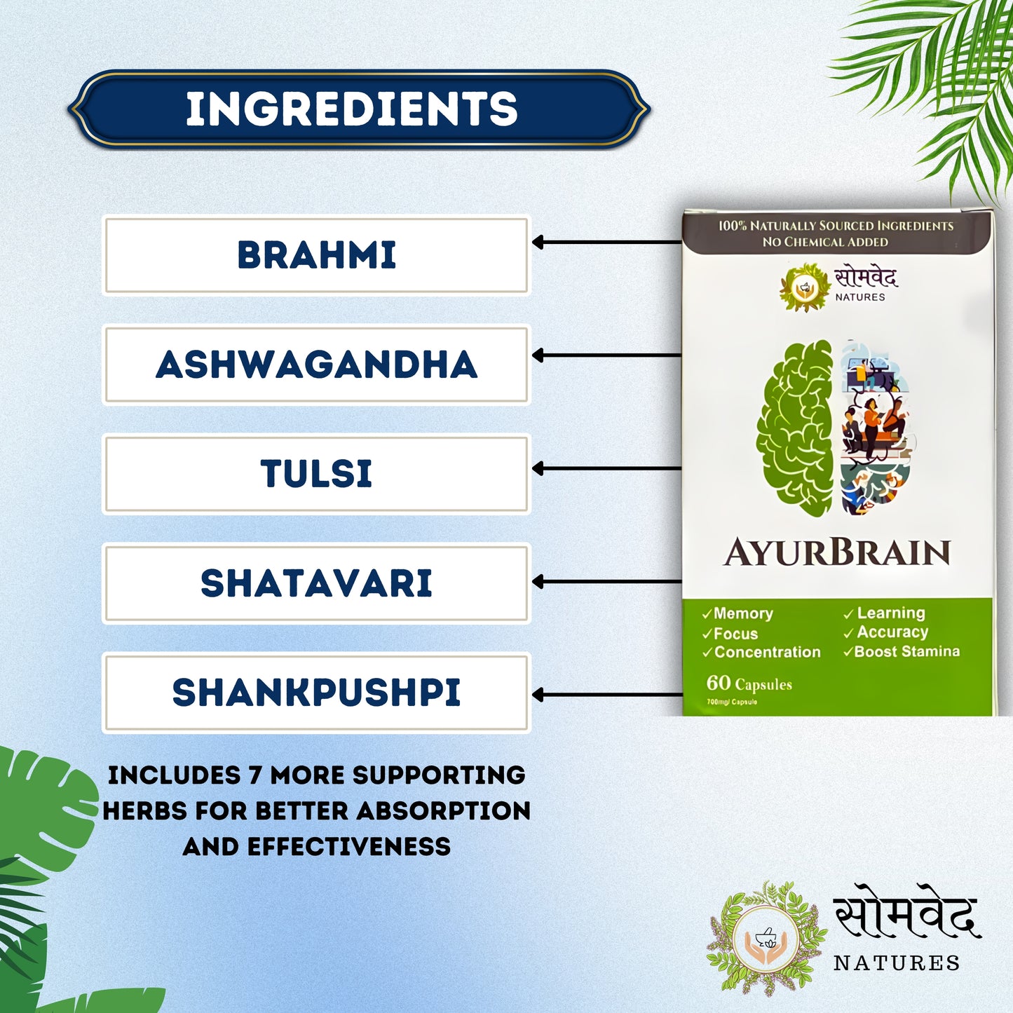 AyurBrain - Herbal Supplement for Enhanced Brain Health | With Brahmi, Ashwagandha & Shankhpushpi | 60 Vegetarian Capsules